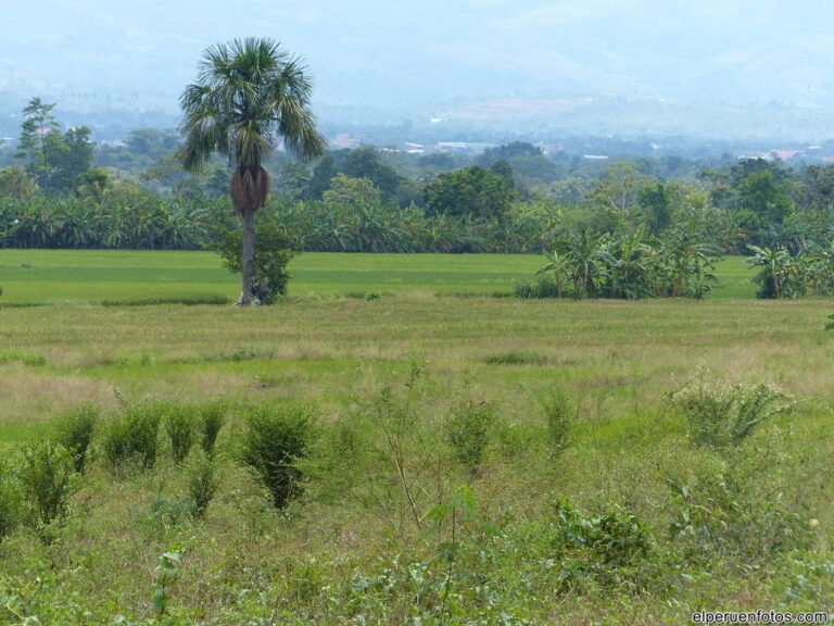 tarapoto 002